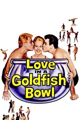 金魚鉢の中の恋のポスター