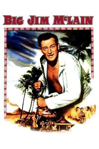 ハワイの陰謀のポスター