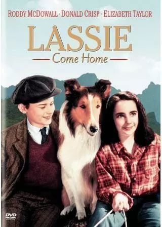 名犬ラッシー/家路のポスター