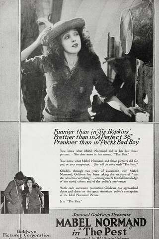 島の娘のポスター