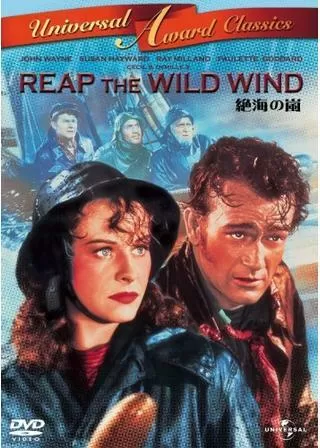 絶海の嵐のポスター