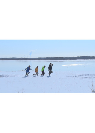白鳥が笑うのポスター