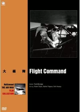 大編隊のポスター