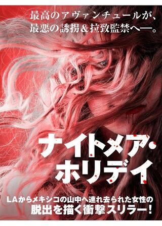 ナイトメア・ホリデイのポスター