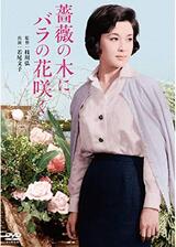 薔薇の木にバラの花咲くのポスター