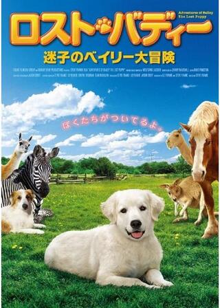 ロスト・バディー 迷子のベイリー大冒険のポスター