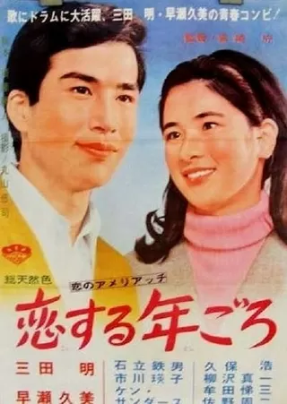 恋する年ごろのポスター