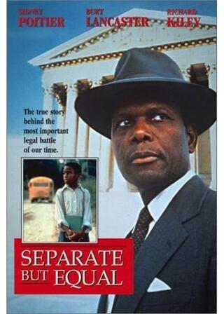 裁かれた壁 アメリカ・平等への闘いのポスター