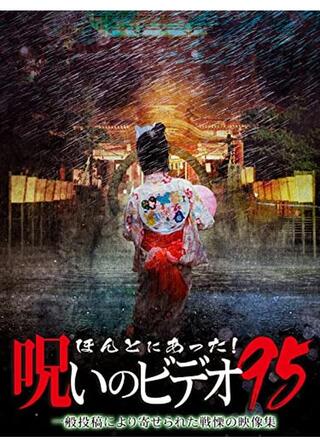 ほんとにあった！呪いのビデオ95のポスター
