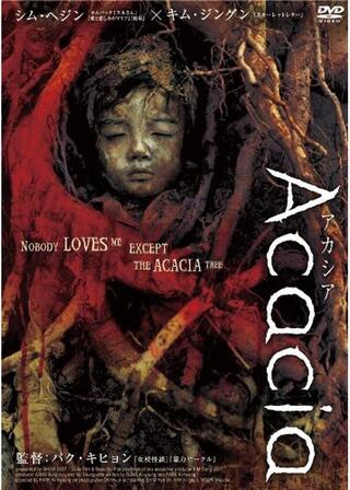 アカシアのポスター