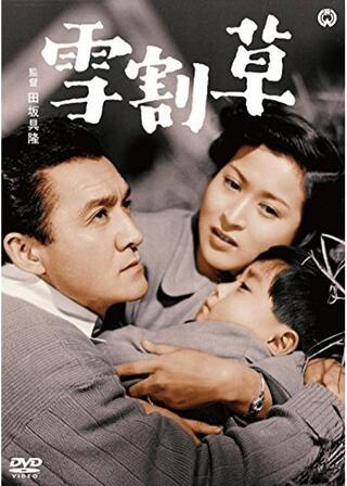 雪割草のポスター