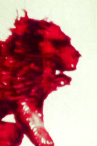 博物誌のポスター