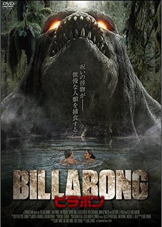 BILLABONG ビラボンのポスター