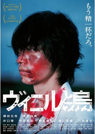 ヴィニルと烏のポスター