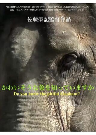 かわいそうな象を知っていますかのポスター