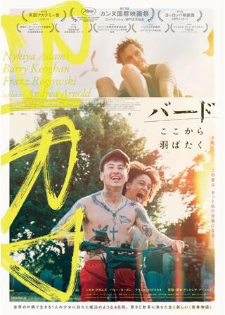 バード ここから羽ばたくのポスター