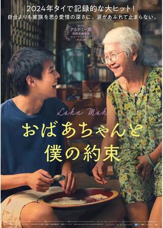 おばあちゃんと僕の約束のポスター