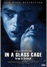 In A Glass Cageのポスター