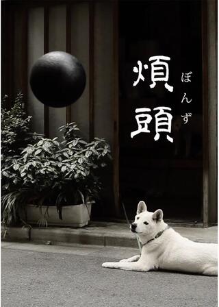 煩頭のポスター