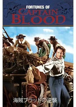海賊ブラッドの逆襲のポスター
