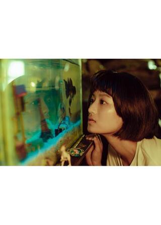 金魚の記憶のポスター