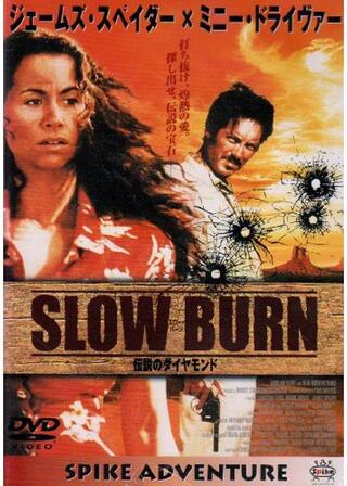 SLOW BURN 伝説のダイヤモンドのポスター