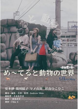 め〜てると動物の世界のポスター