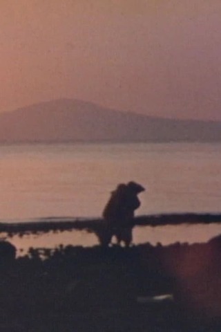 苦海浄土のポスター