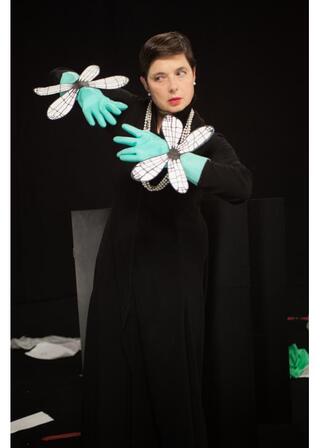 イザベラ・ロッセリーニのグリーン・ポルノのポスター