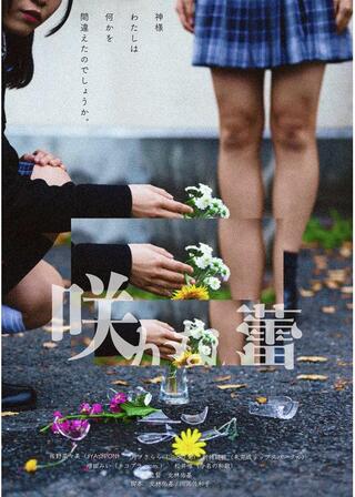 咲かない蕾のポスター