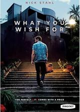 What You Wish For（原題）のポスター