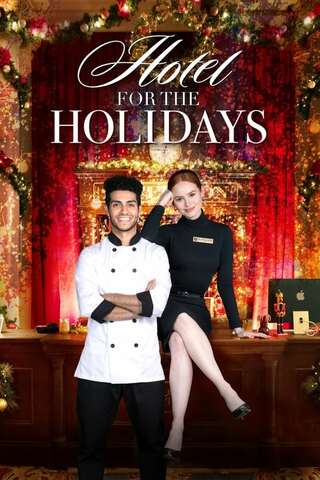 Hotel for the Holidays(原題)のポスター