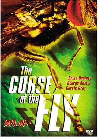 蝿男の呪いのポスター