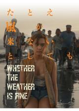 たとえ嵐が来ないとしてものポスター