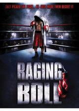 Raging Boll（原題）のポスター