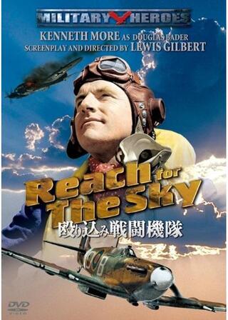 殴り込み戦闘機隊のポスター