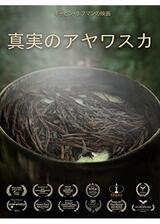 真実のアヤワスカのポスター