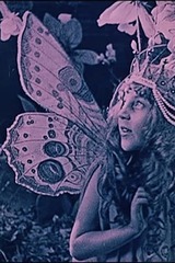La reine des papillons（原題）のポスター