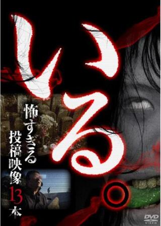 「いる。」 ~怖すぎる投稿映像１３本~のポスター
