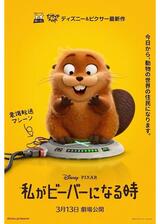私がビーバーになる時のポスター