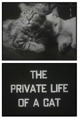 The Private Life of a Cat（原題）のポスター