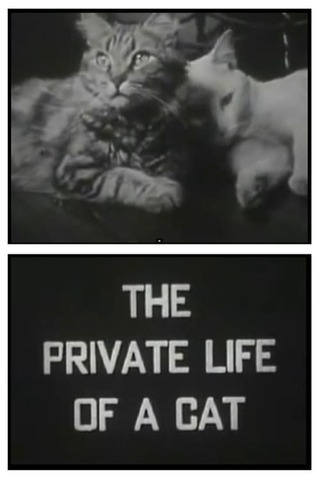 The Private Life of a Cat(原題)のポスター