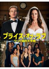 プライス・オブ・ラブ ウソの婚約大作戦のポスター