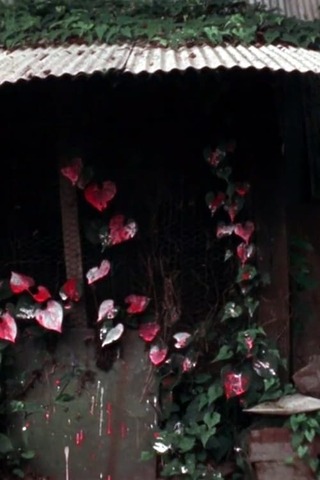 SHELTERのポスター