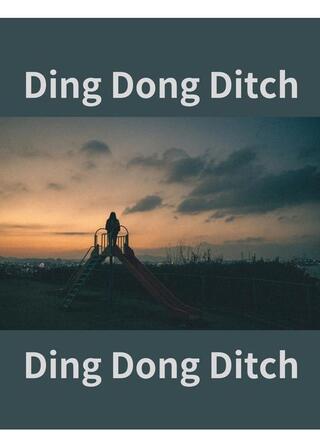 Ding Dong Ditchのポスター