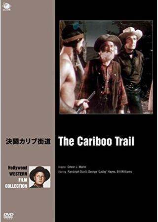 決闘カリブ街道のポスター