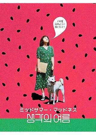 ミッドサマー・マッドネスのポスター