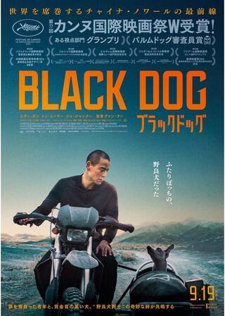 ブラックドッグのポスター