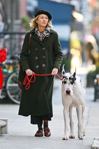 The Friend（原題）のポスター