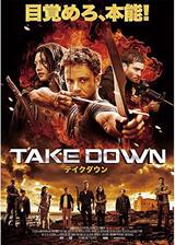 テイクダウン TAKE DOWNのポスター